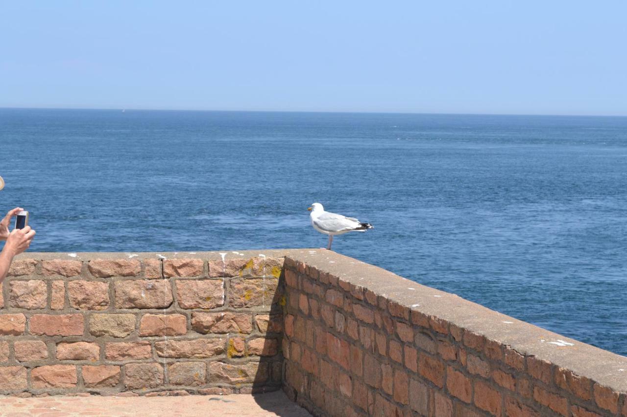 Gite De La Mer Sur Le Port De Plaisance De Lezardrieux Bretagne Exteriör bild